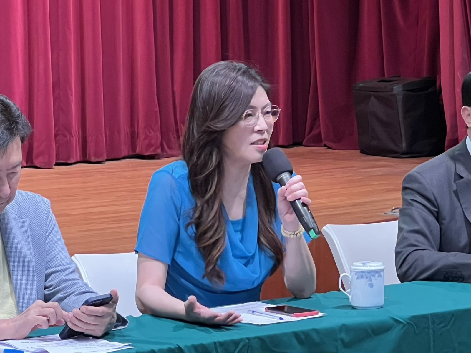 國民黨前立委鄭麗文指出,沒有雜質的純鐵是完全沒有任何用處的。(圖/袁維駿攝)