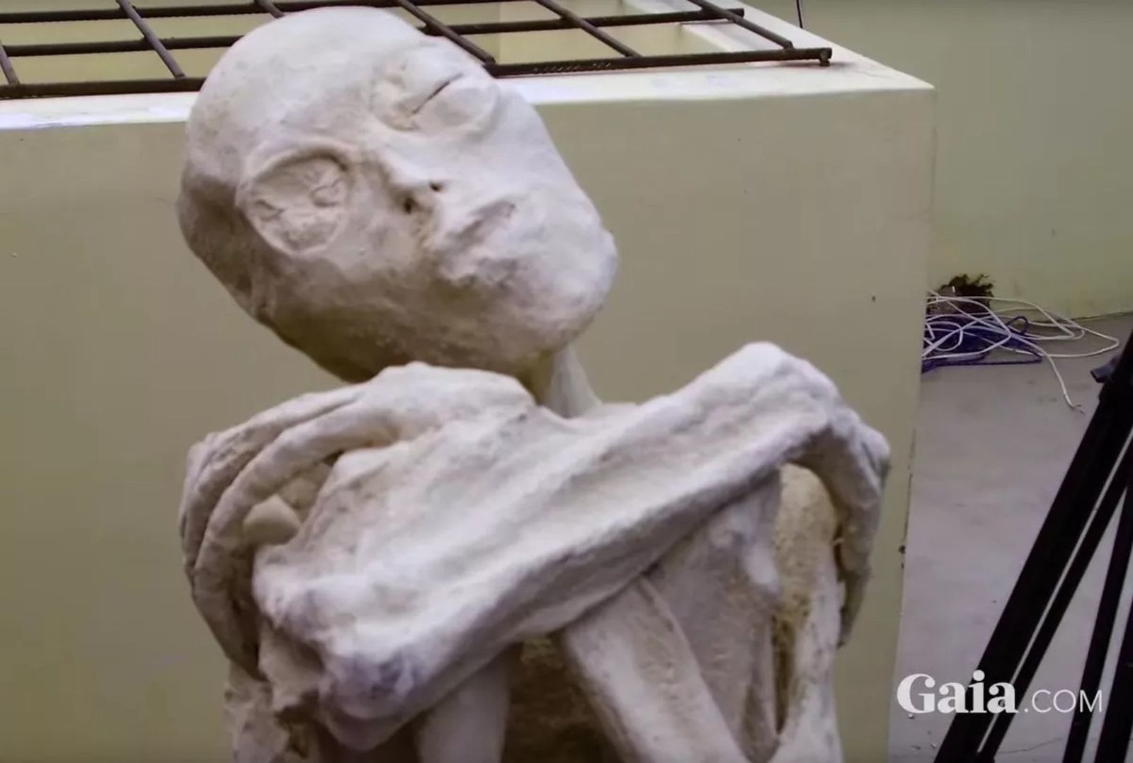 「外星人木乃伊」有驚人發現！全是真實人類　疑遭謀殺死狀悽慘