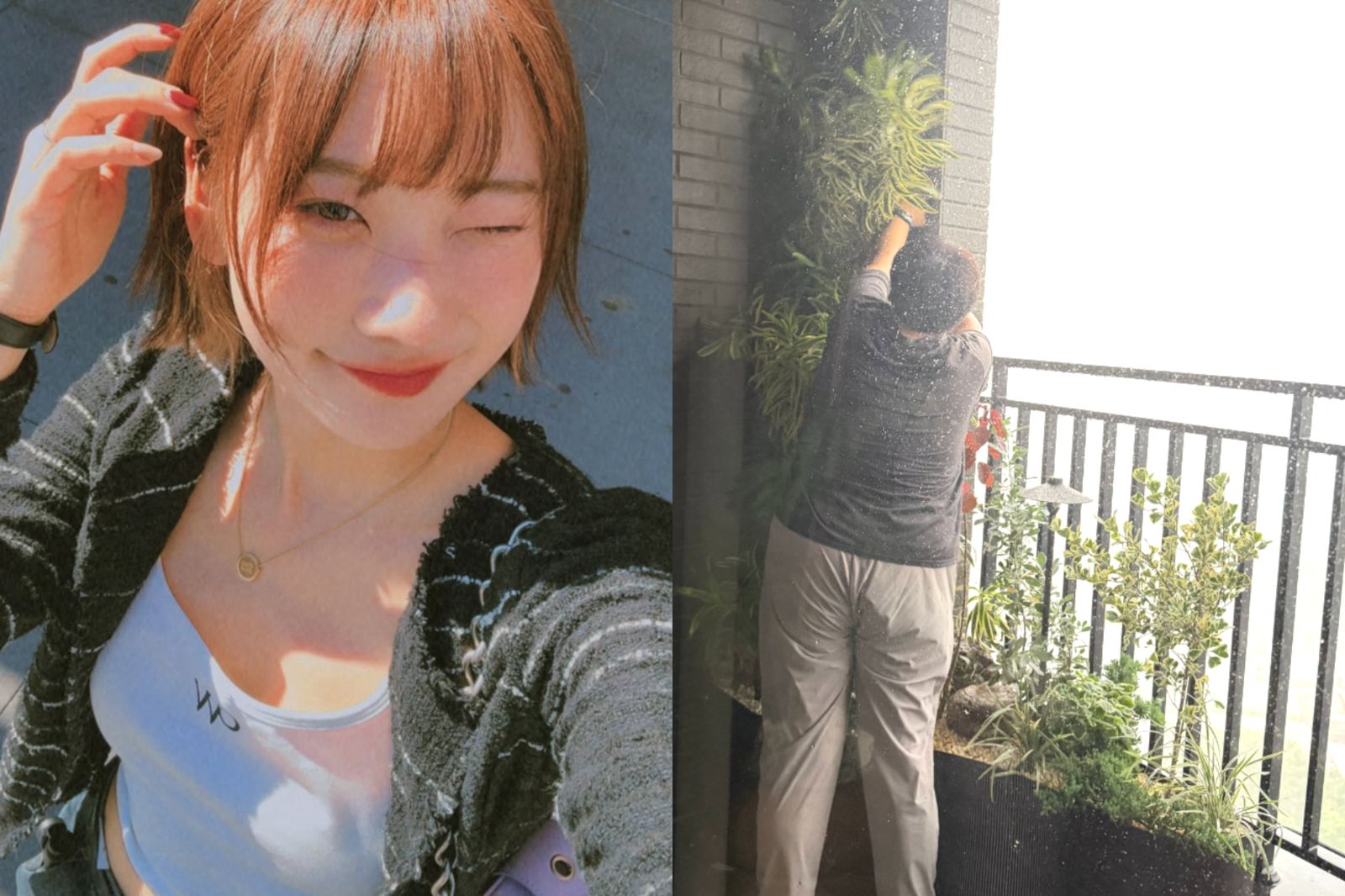 愛莉莎莎颱風天派助理「肉身護陽台植物」!辛酸畫面流出遭轟沒良心...當事人澄清了