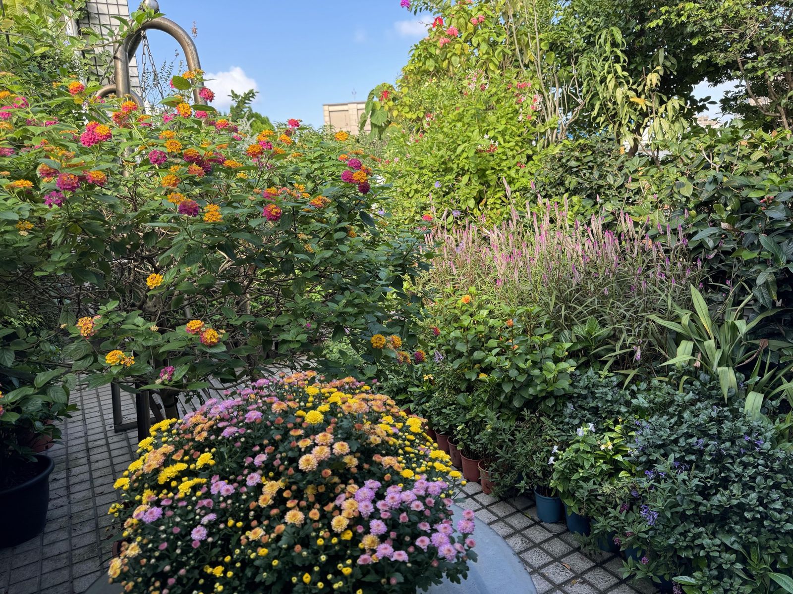 裴社長揭露「園藝魂」　打造空中花園成賞花秘境