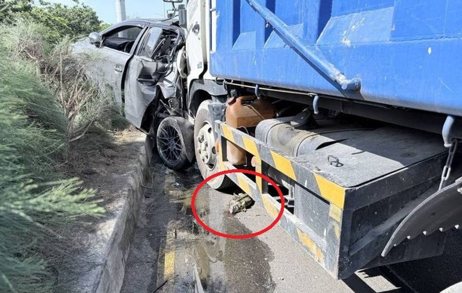 台17線驚見「酷斯拉」攔路!休旅車嚇到急煞 大貨車猛撞 車頭尾全爛