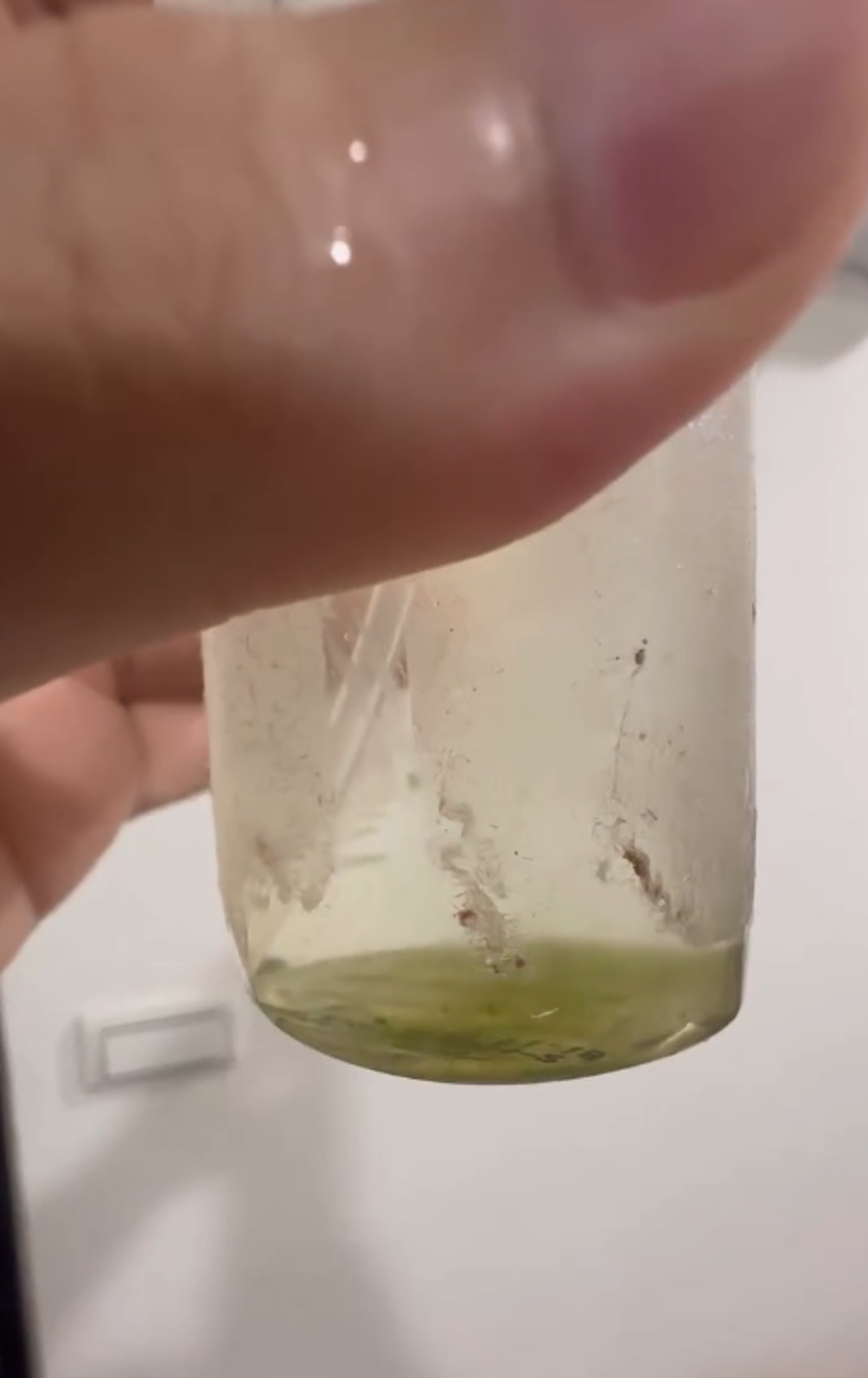 一名台灣男子將印度恆河水帶回台灣，竟長出怪異東西，緊急返回印度野放。圖／翻攝自Threads @shiang0510