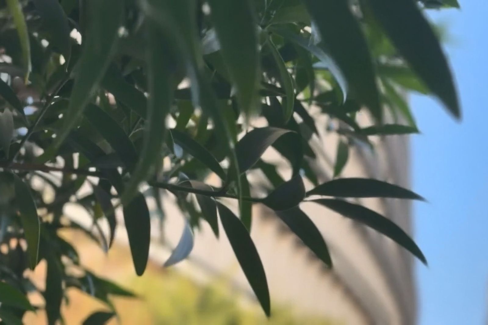 泰女遺體裝入行李箱載運南下!台中七期商辦冰櫃裡找到她 凶嫌看中這點成藏屍關鍵