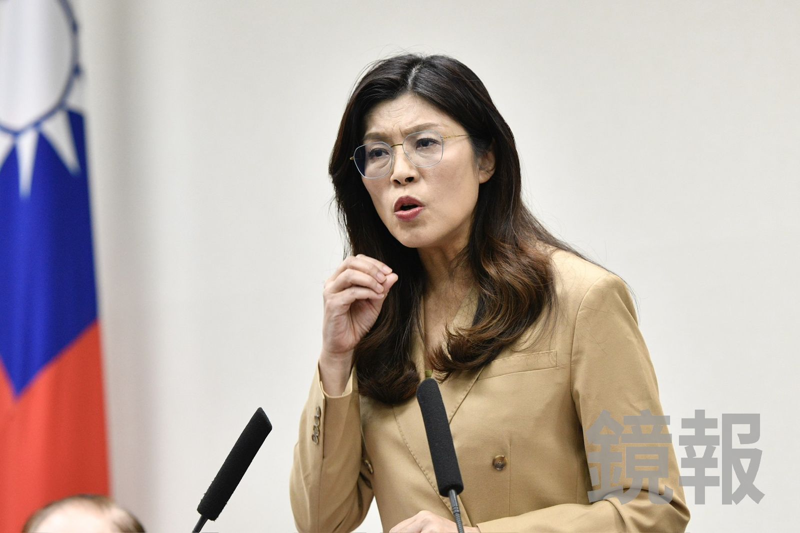 斥「鄭習會門票說」通篇瞎編　鄭麗文：兩岸和平不必自我矮化