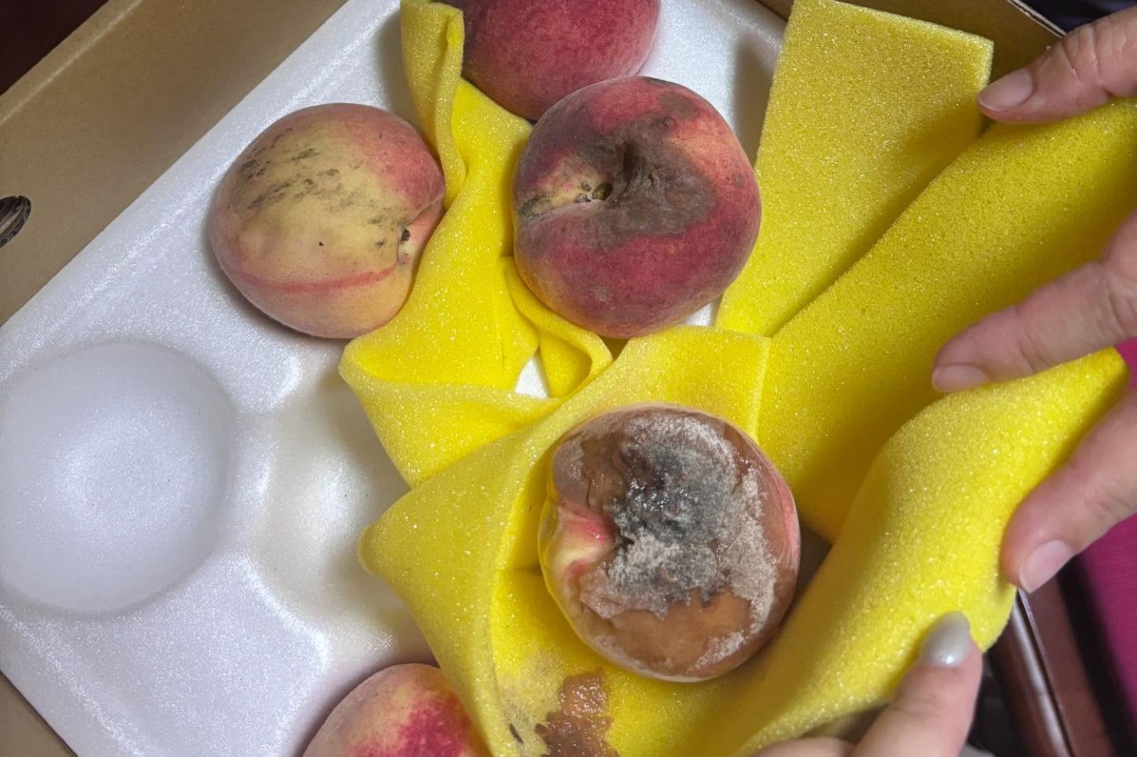 花1200買拉拉山水蜜桃「僅一顆沒爛」 他怒噴:這是詐騙嗎?