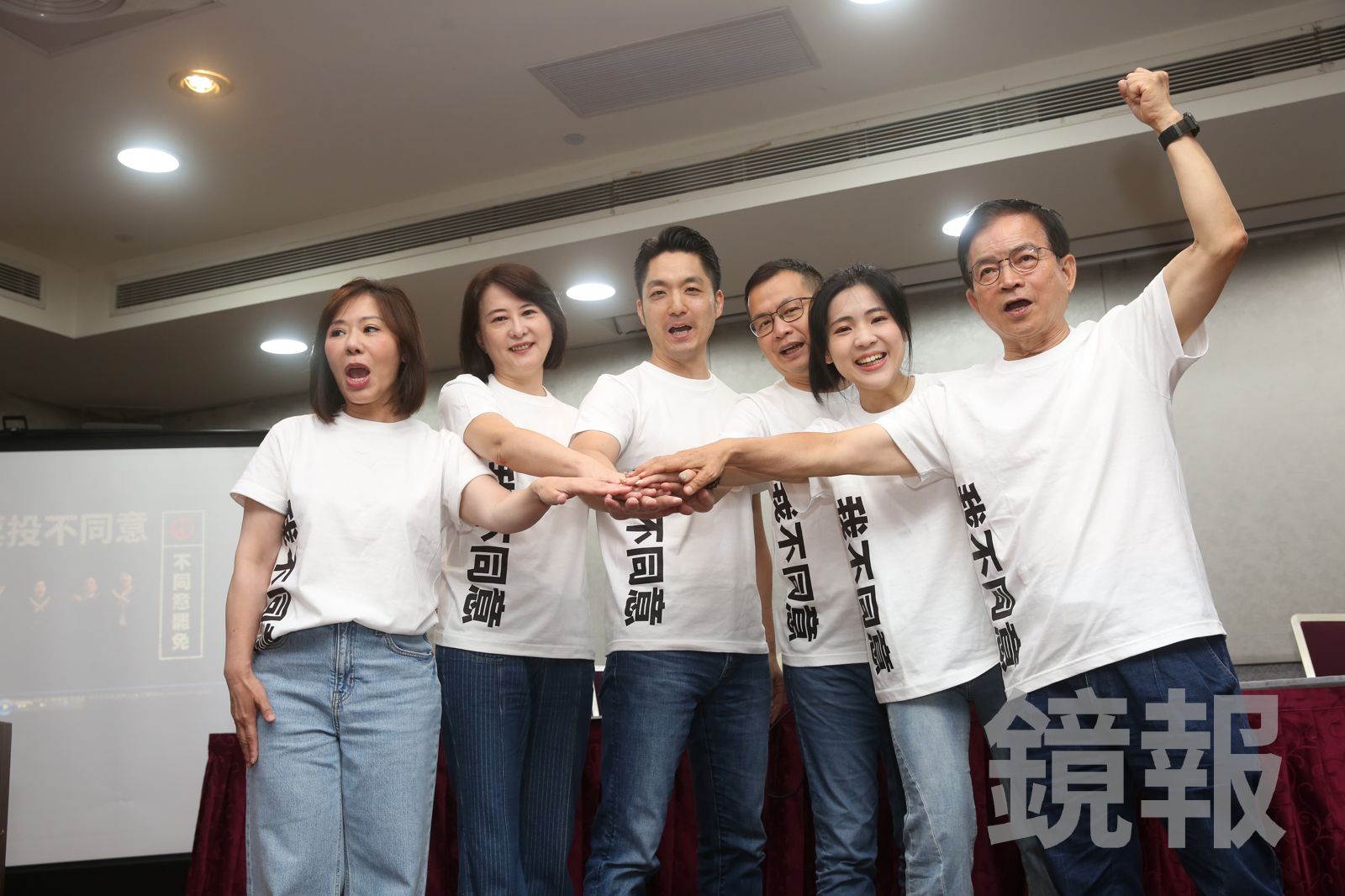 北市5藍委合拍反罷廣告　訴求每個「正」字都是正當民意