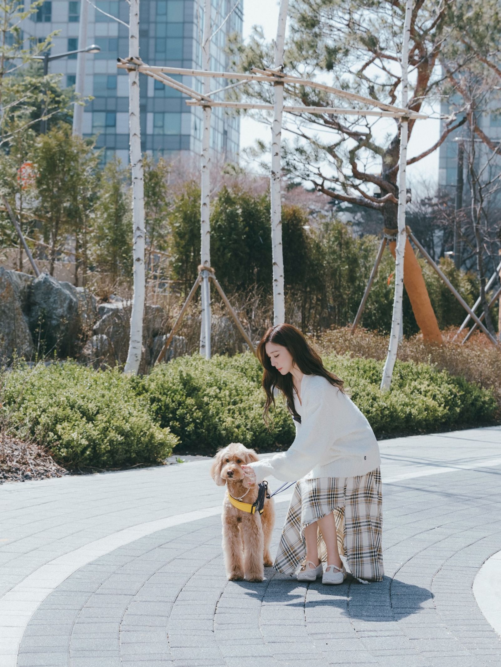 Tiffany曬出遛狗照後,老公卞約漢第一時間按讚。翻攝IG@tiffanyyoungofficial