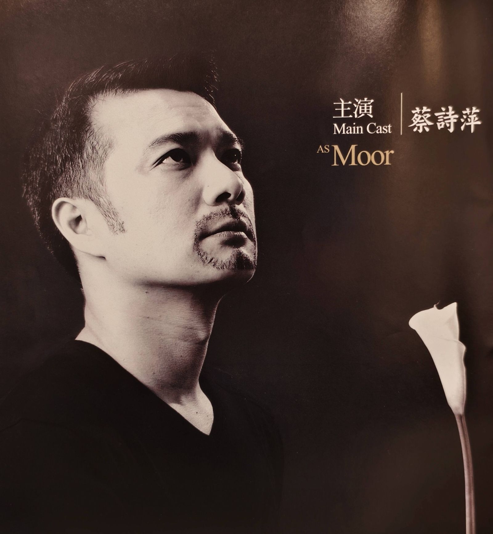 蔡詩萍當年帥照曝光。翻攝林書煒臉書