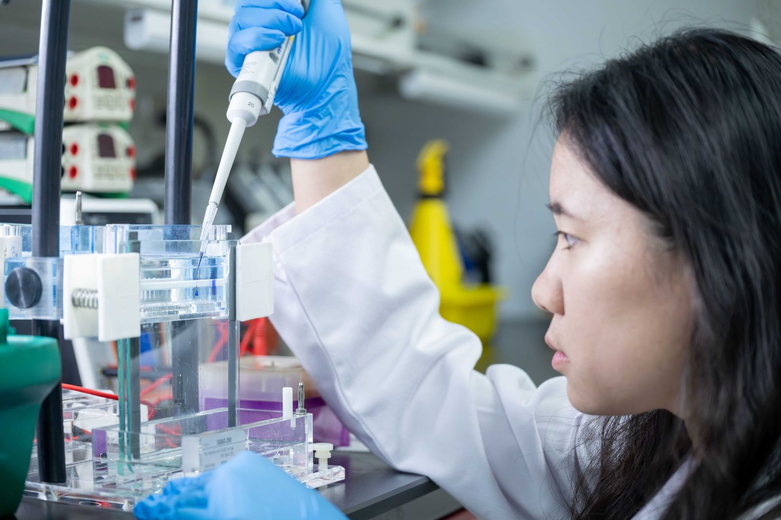 雜質足以致命　直接讓民主制度崩壞