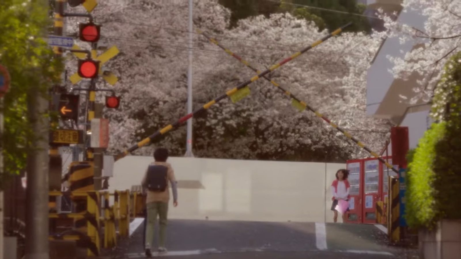 神作回歸!《秒速5公分》真人版日本狂賣23億 松村北斗跨四季實景苦戀