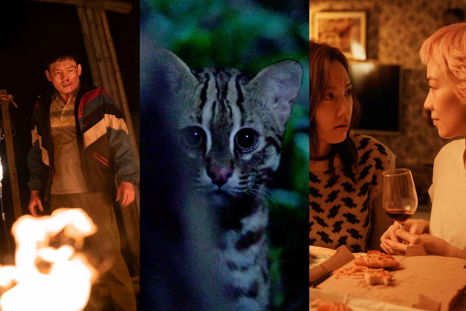 2025金馬創投50件企劃入選　國際合製22件創新高