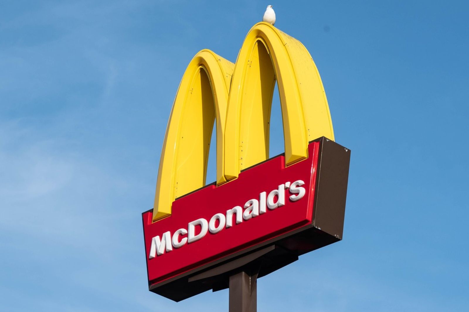 麥當勞點餐1現象！他氣炸批「附贈說教套餐」　網傻眼：本末倒置