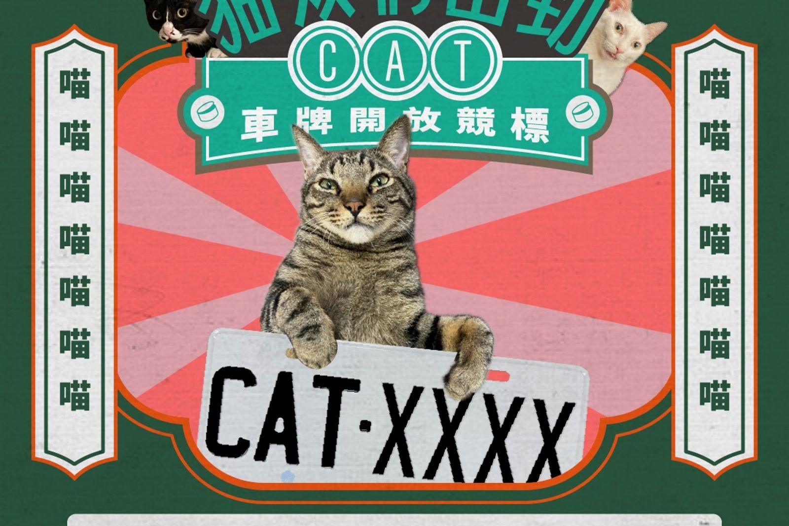 車牌CAT8888　決標破57萬成貓王！網見「9527」被標走敲碗：只能等DOG
