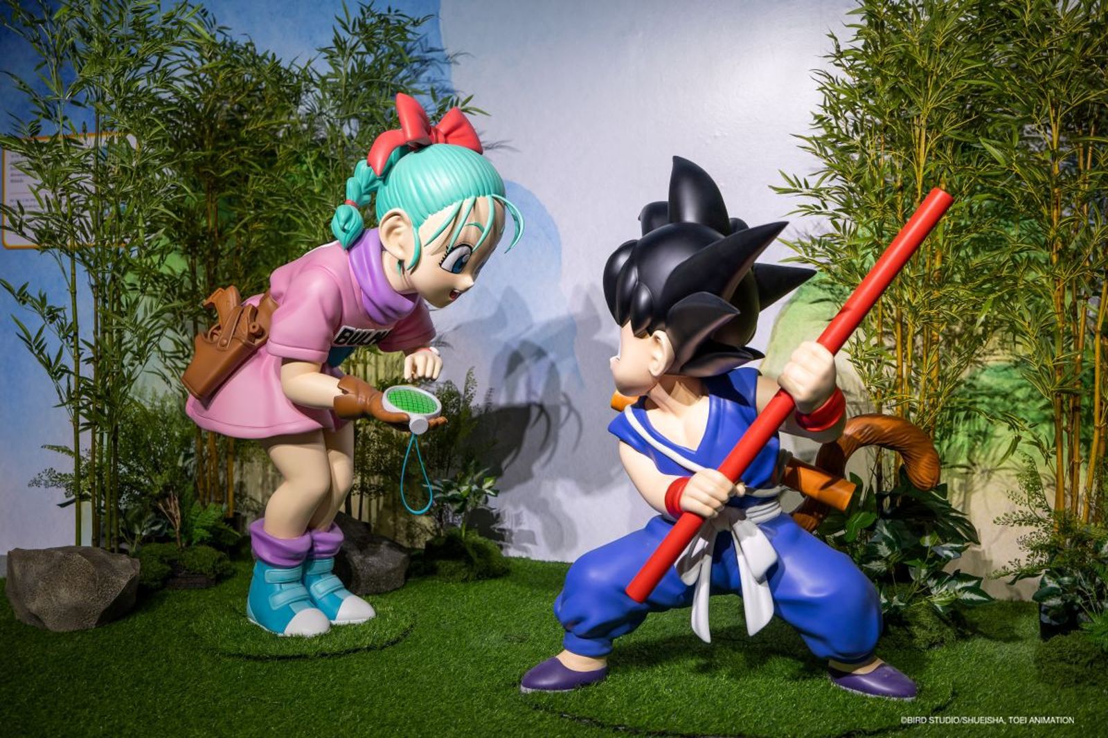 七龍珠特展2026華山登場　體驗合體技與收集龍珠任務