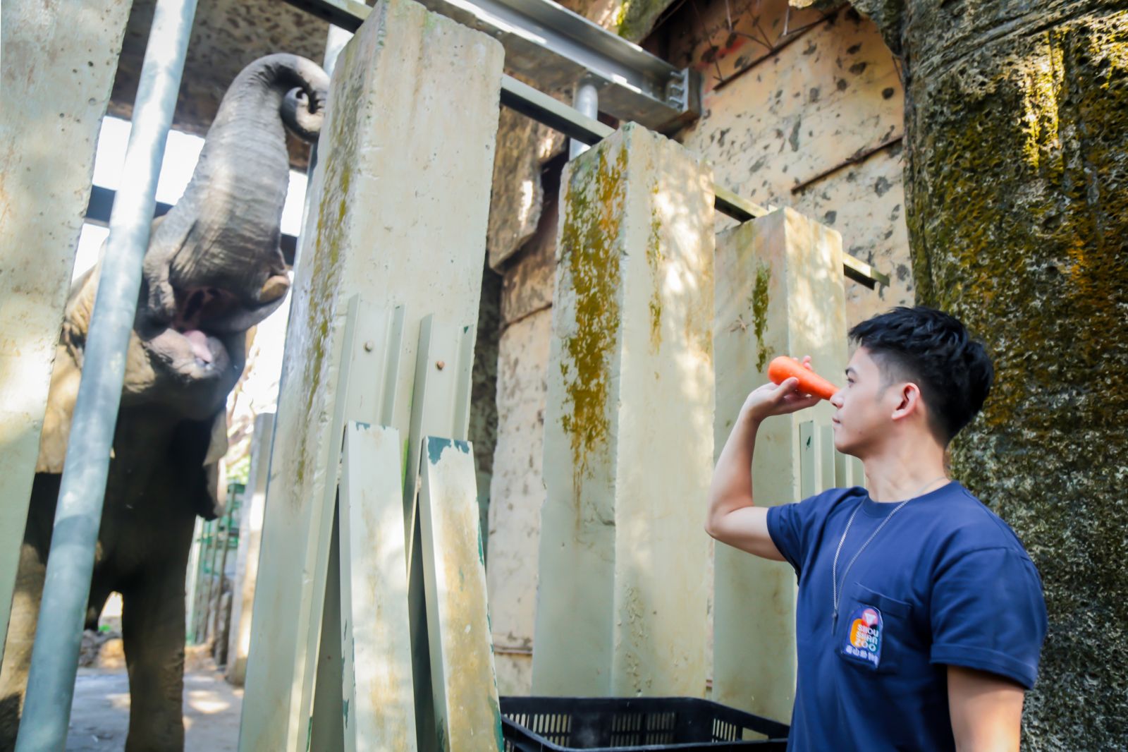 邵雨薇、王柏傑重返動物園！竟獲白犀牛爭寵討摸摸　李淳碰象鼻：像進侏羅紀