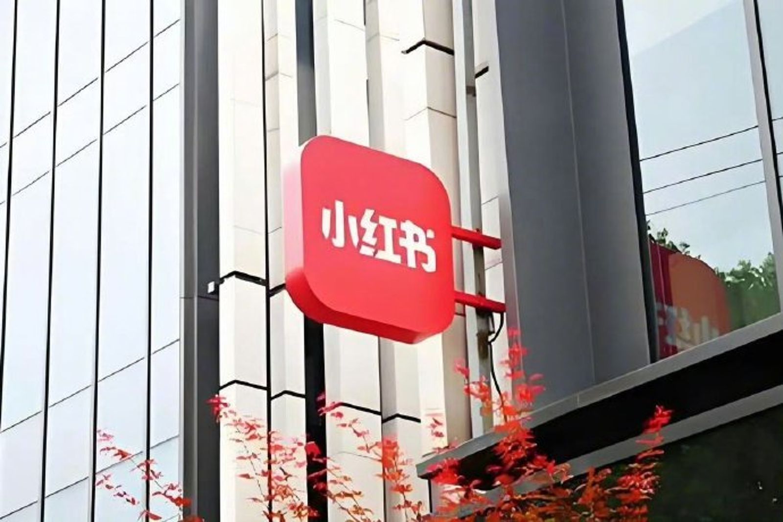 台灣為何要封鎖小紅書？綠委無奈揭現況…前白營也力挺：紅統人士要崩潰了