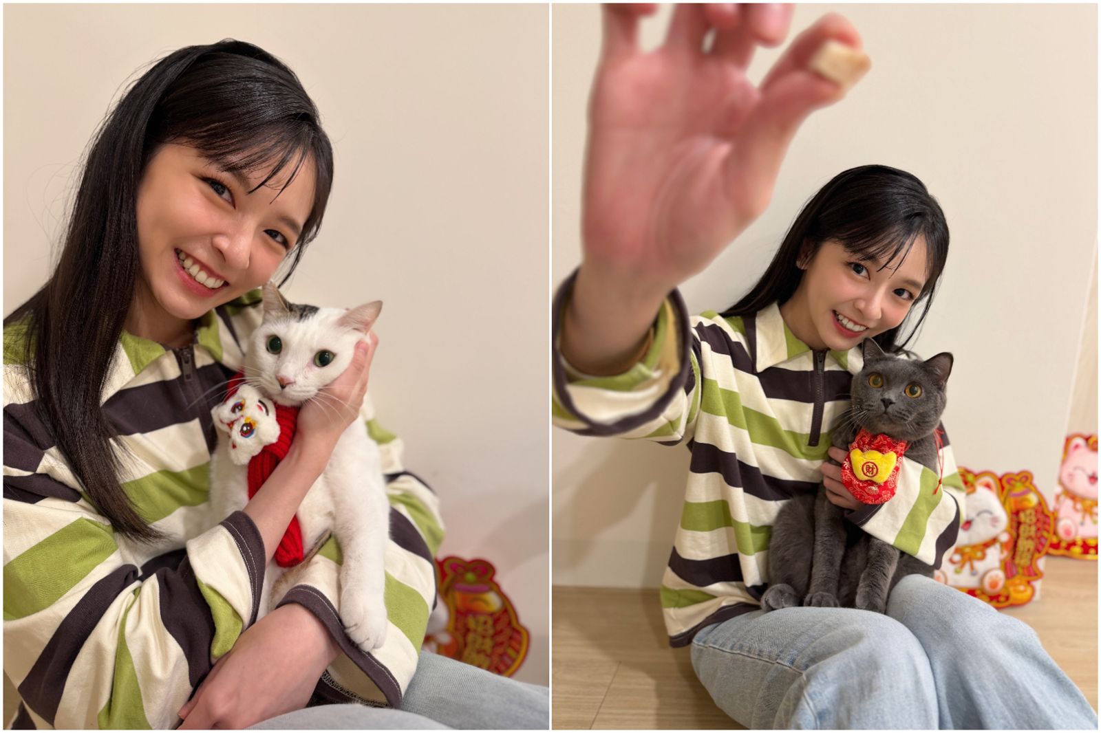 獨家／愛貓一疾病常流鼻血！陳姸霏嚇壞操碎心　擁「雙寶」過年戴喜慶裝扮萌翻