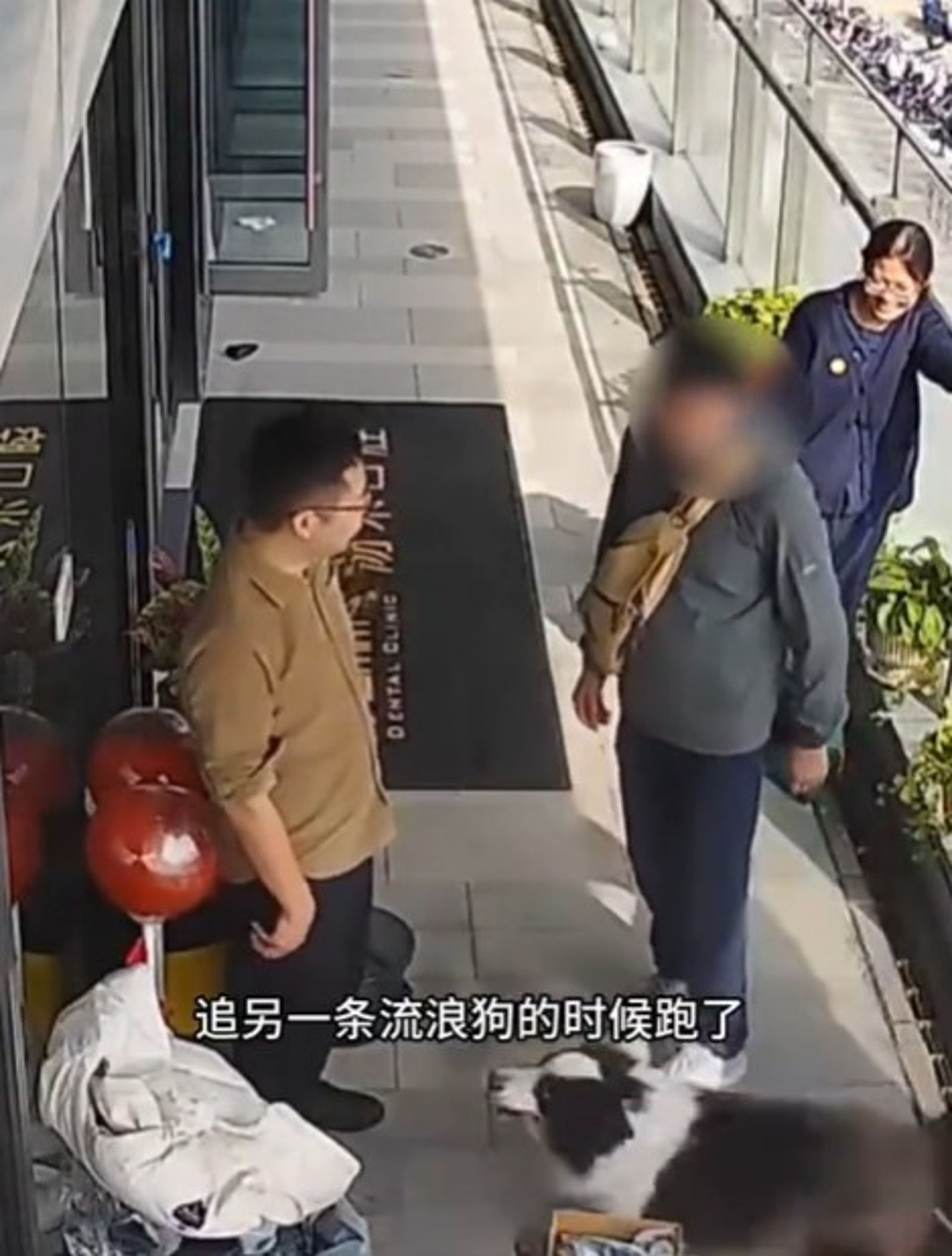 狗狗終於和主人團聚。圖／翻攝自微博