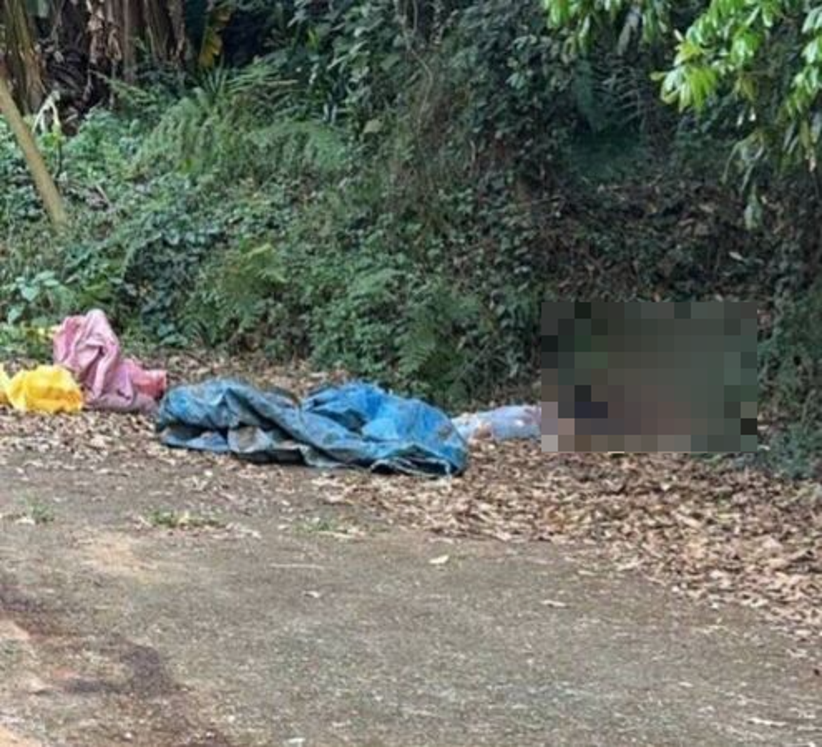 百果山「毀容虐殺」內幕曝！死者涉「餵毒強暴」　舅舅聽哭訴決心報復