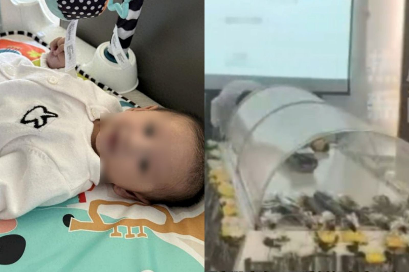 罹先天心臟疾病...登陸地球237天嬰兒化作大體老師　母親1封信惹心碎
