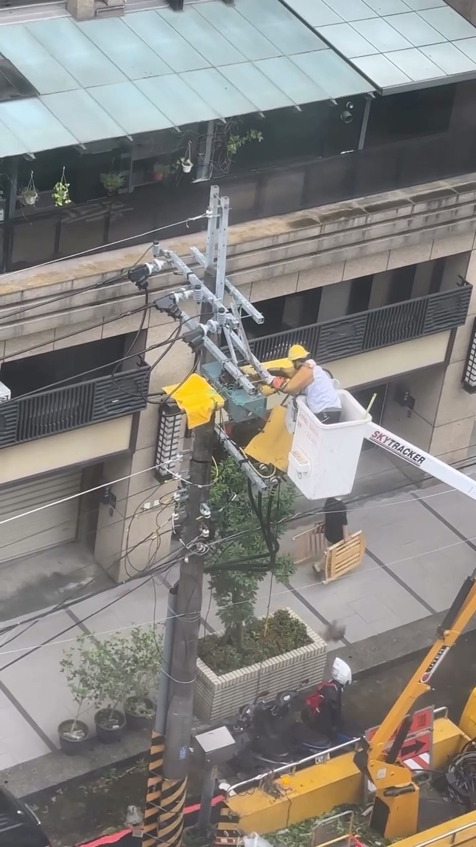 台電人員清理電桿上的雜枝枯葉。畫面翻攝threads hannah.chang1008