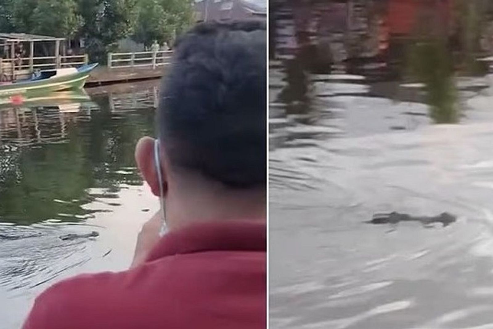 男童玩水被鱷魚「抓交替」　活活拖下水咬死！鄉民驚喊卻無法救援