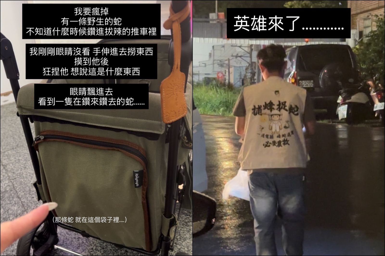 手伸進狗狗推車「捏到怪東西」!他低頭一看「竟是眼鏡蛇」當場傻眼:差點沒命