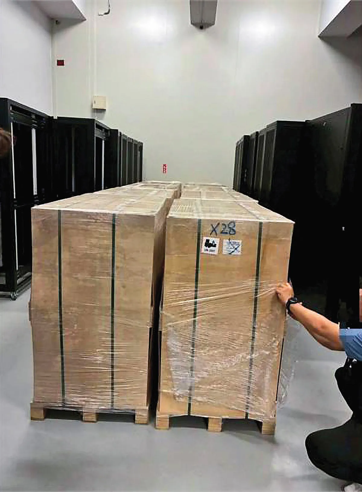 假機房插滿排線騙過稽查 專家也中招!科技內鬼再爆掏空案外案