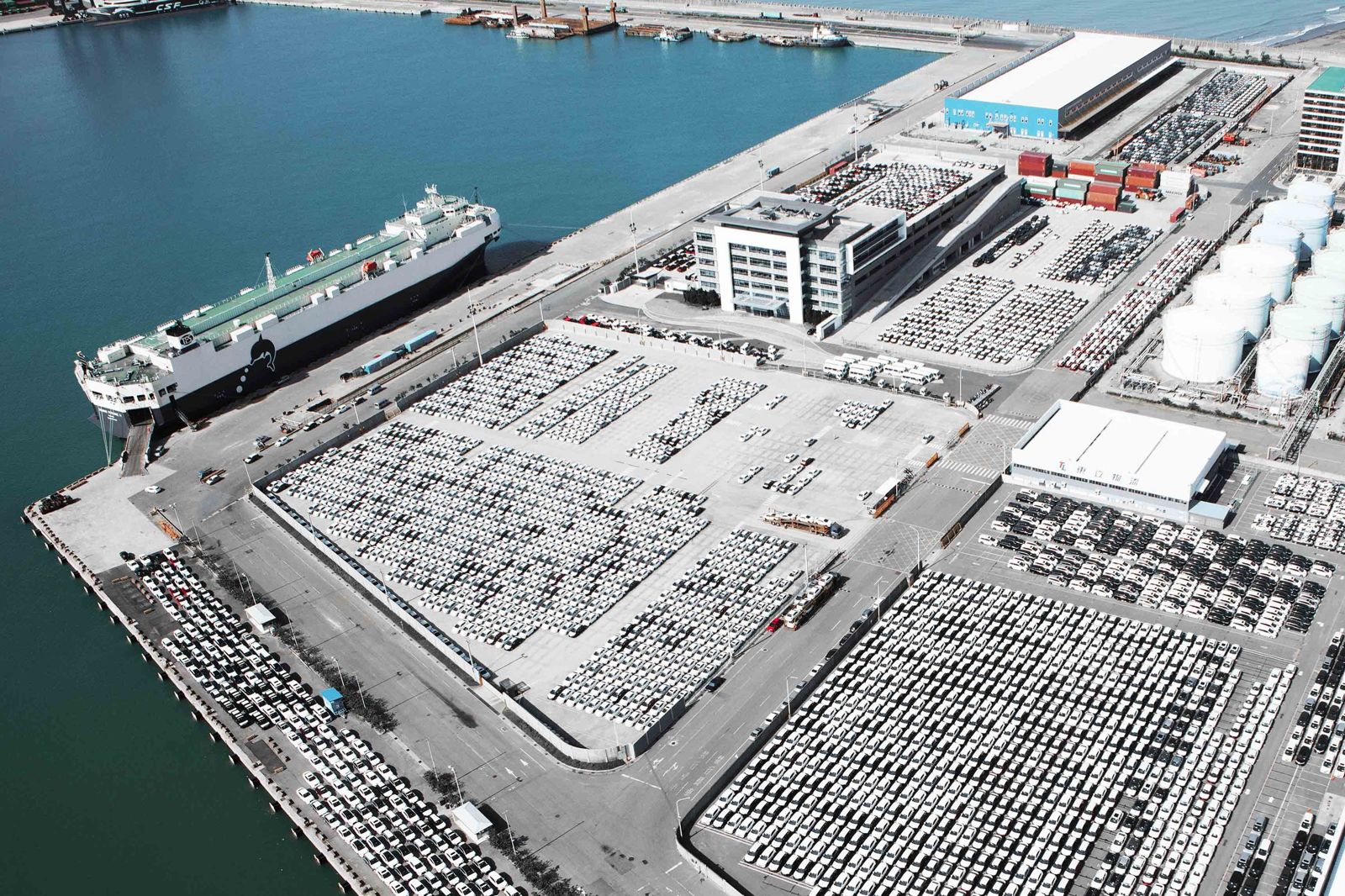 關稅會調降的預期心理，造成車商不敢提關，車輛堆滿保稅倉庫。（東立物流提供）