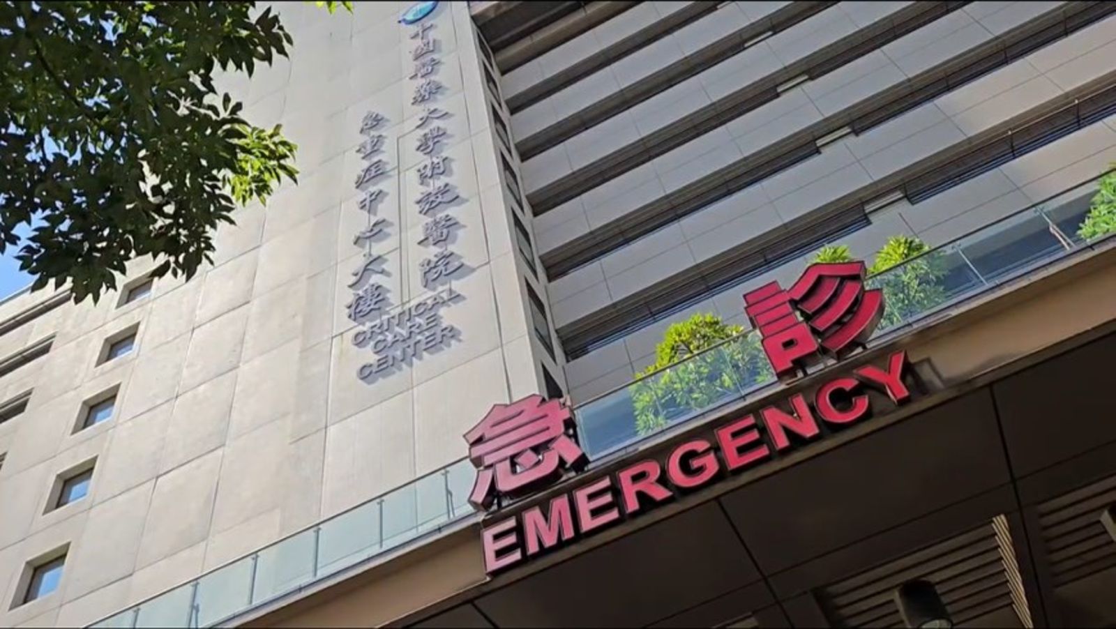 新加坡9人家族團來台噩夢! 67歲嬤走斑馬線遭國光客運輾過今不治