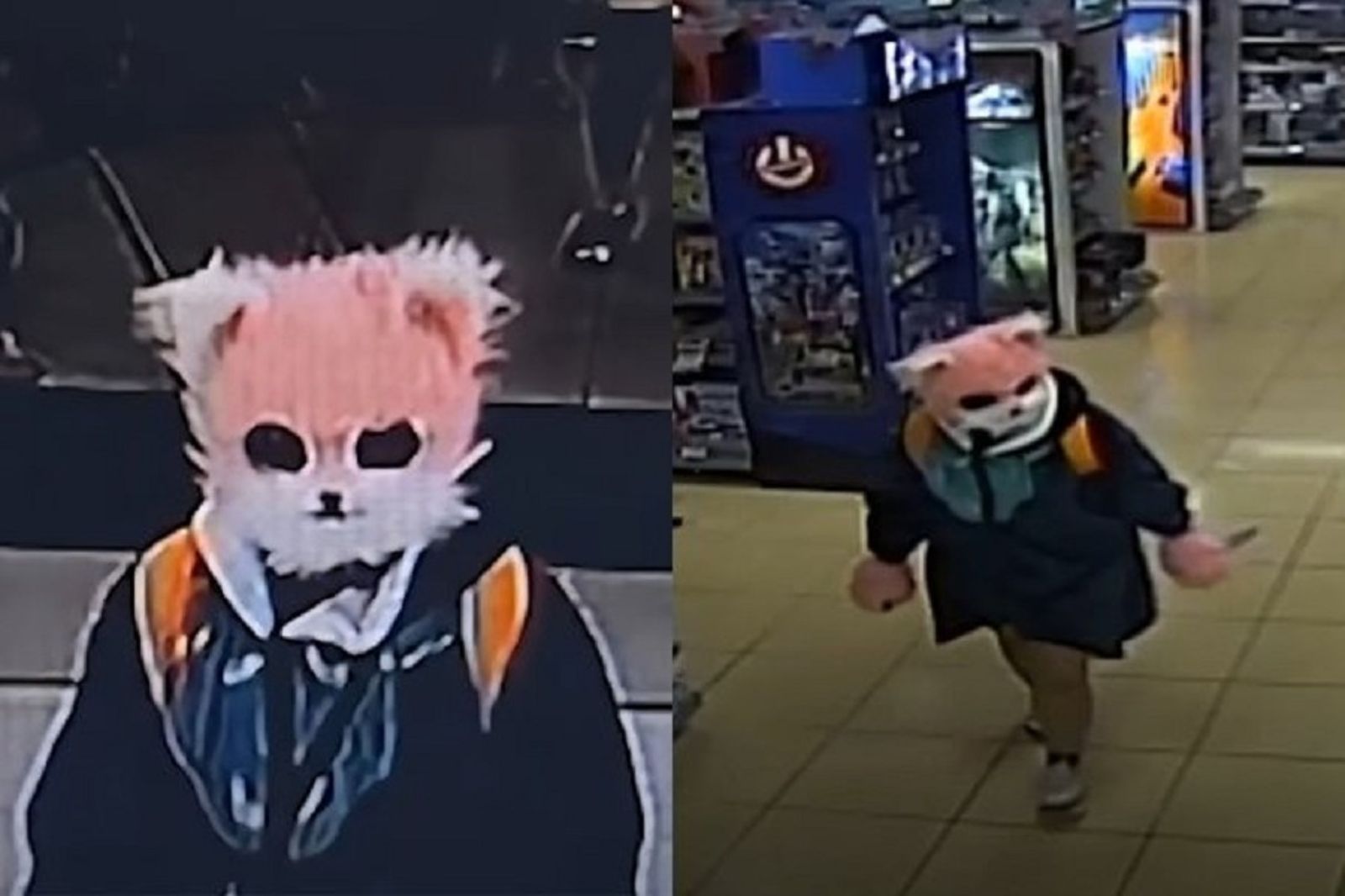 41J肉聲／韓女扮貓持刀追殺小孩　被警訊問只喊「喵」！認專挑弱小下手