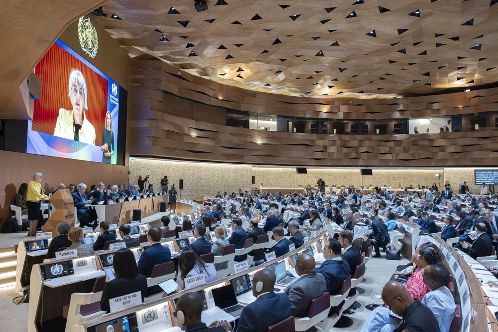 莫讓政治成防疫死角──台灣參與WHA是全球衛生網的重要拼圖