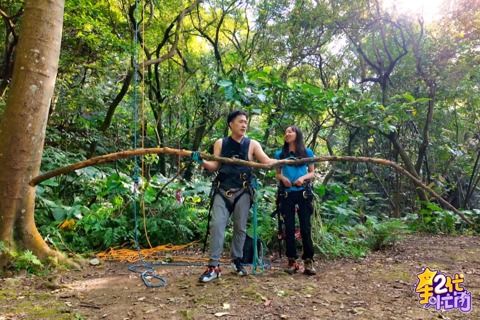 第一次工作挑戰爬樹就到10公尺高 嚇得腳軟。Yahoo《星二代很忙內》提供