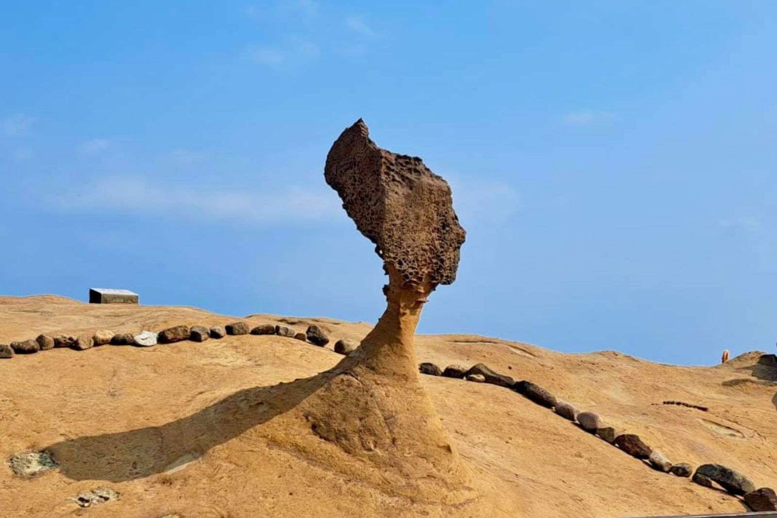 女王頭恐斷頭?後腦勺出現「巨大傷痕」 網疑與這年有關