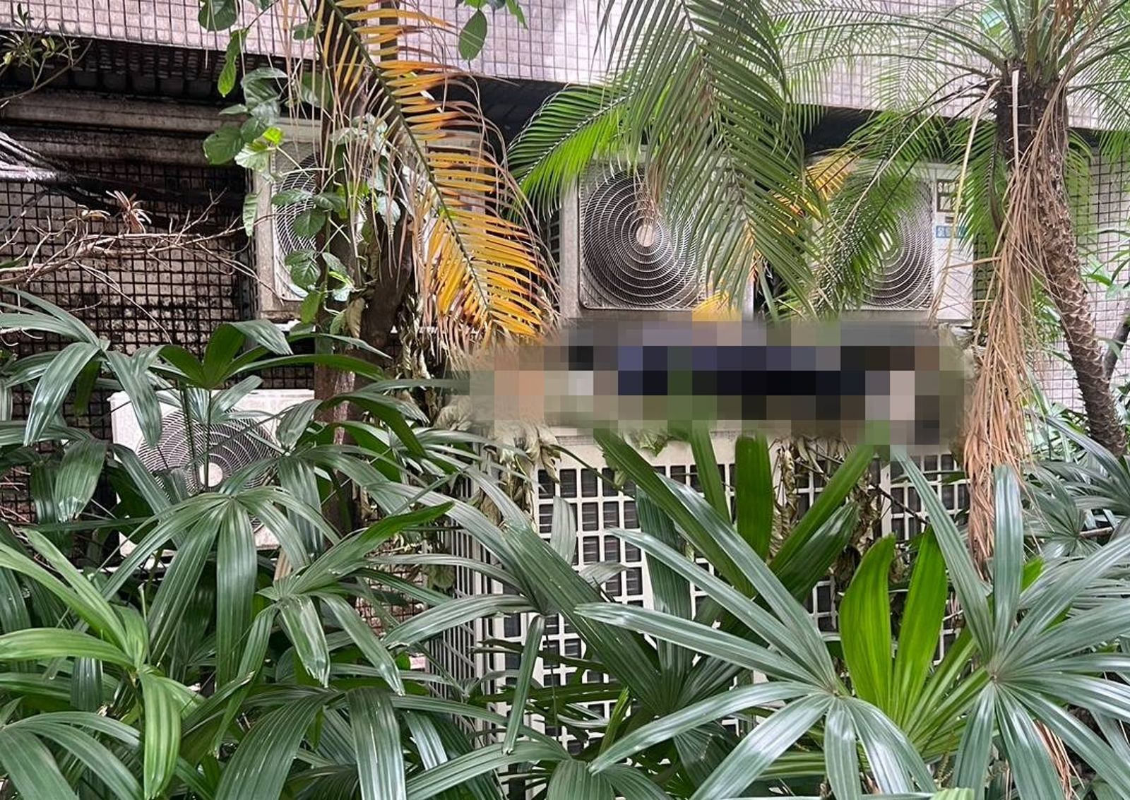 忠孝醫院連日飄惡臭真相大白　腐屍掛冷氣機死亡多日身份曝光