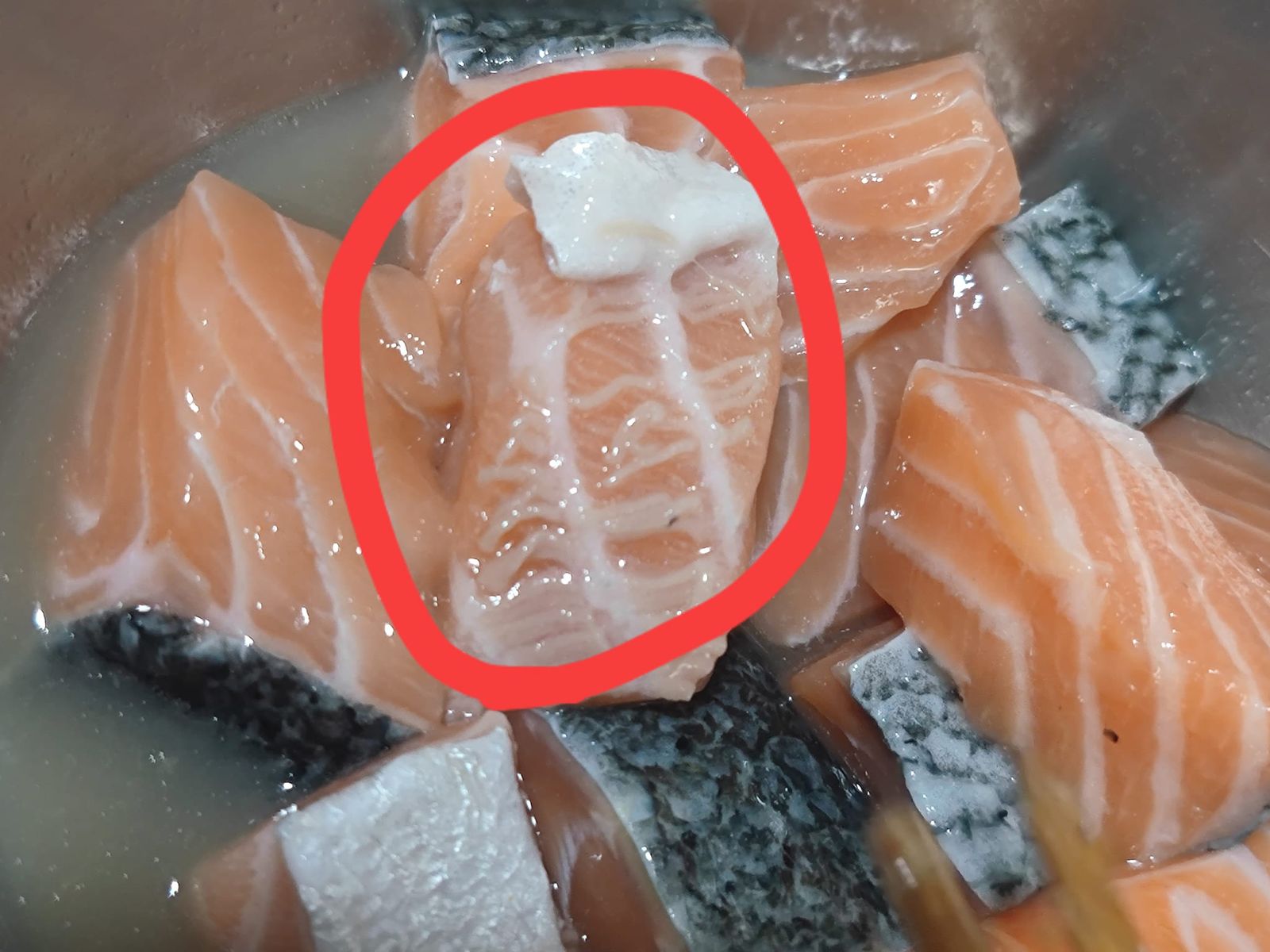 鮭魚煮後現「白色條狀物」民眾驚：是蟲嗎？日料老闆解答