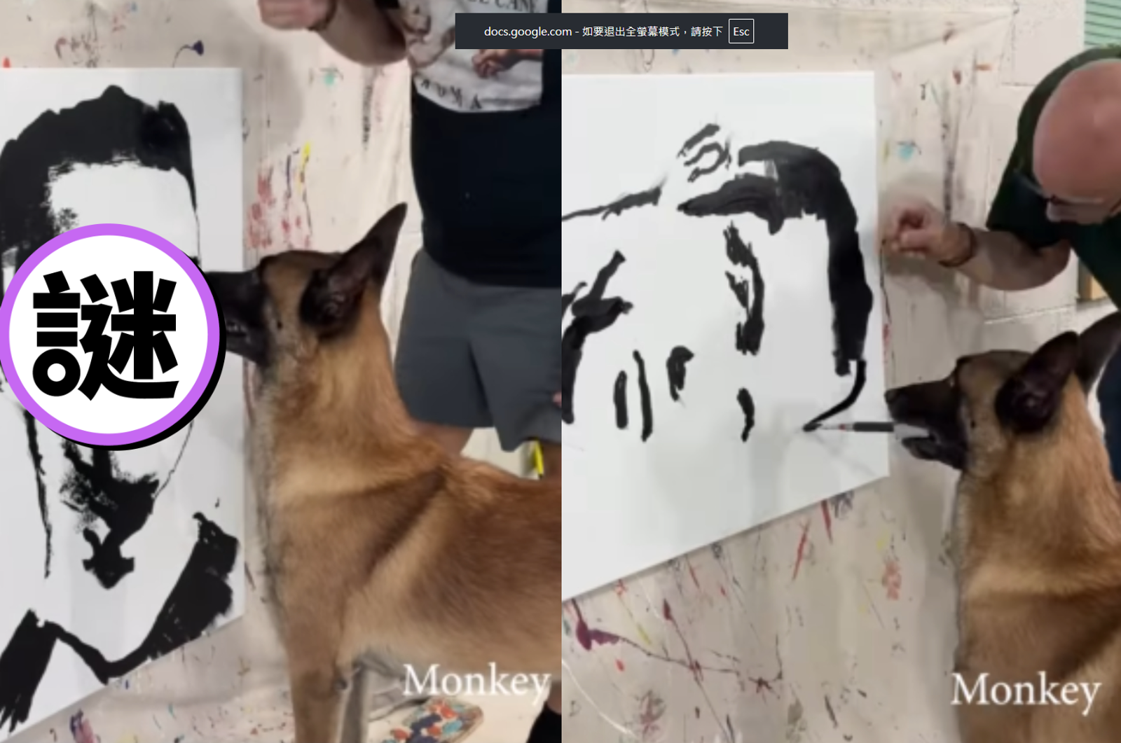 狗界莫內!天才牧羊犬Monkey神還原C羅 畫作價格喊到9萬元