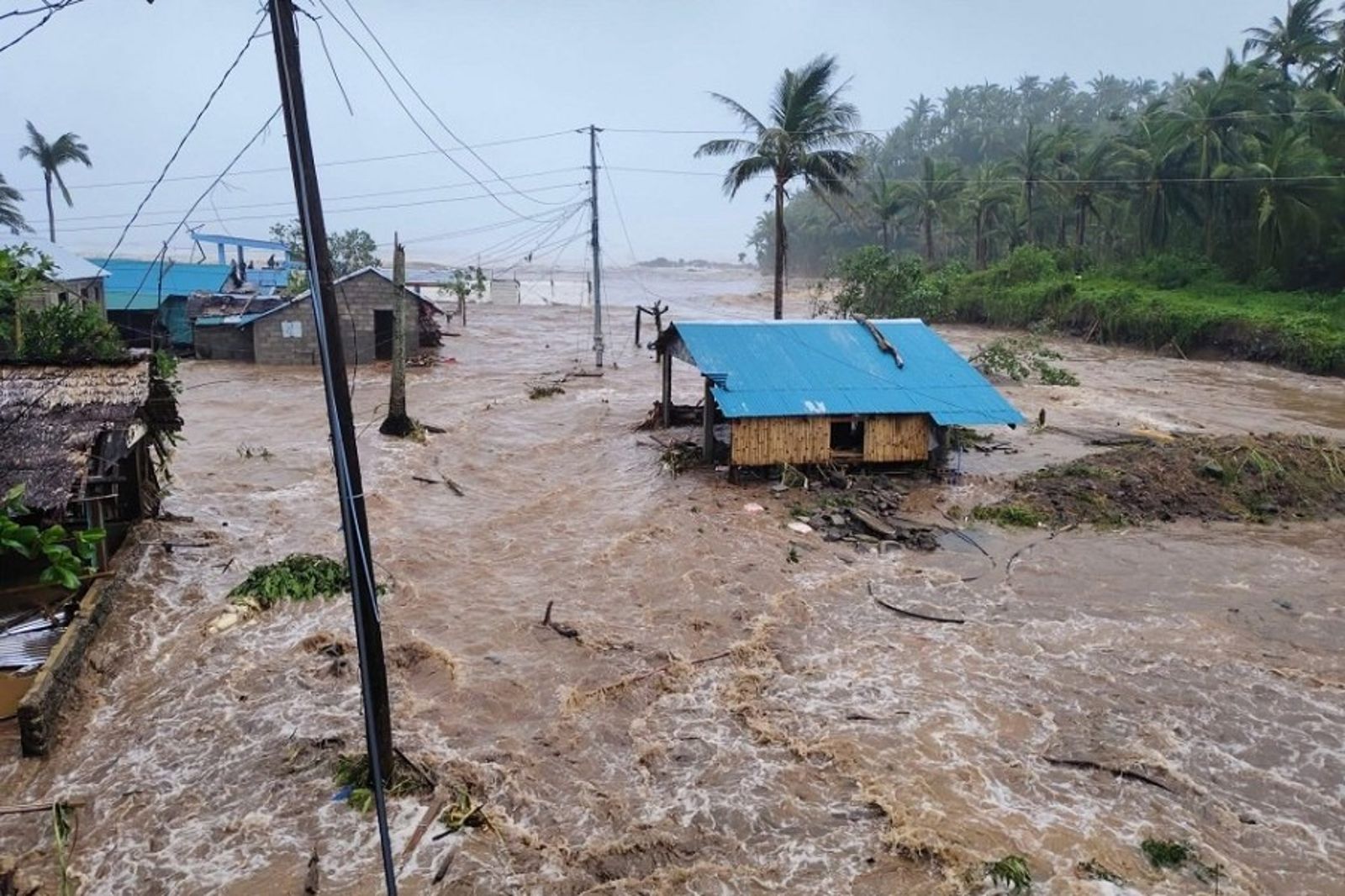 鳳凰颱風強襲菲律賓　2死百萬人撤離！吊橋晃得極度誇張