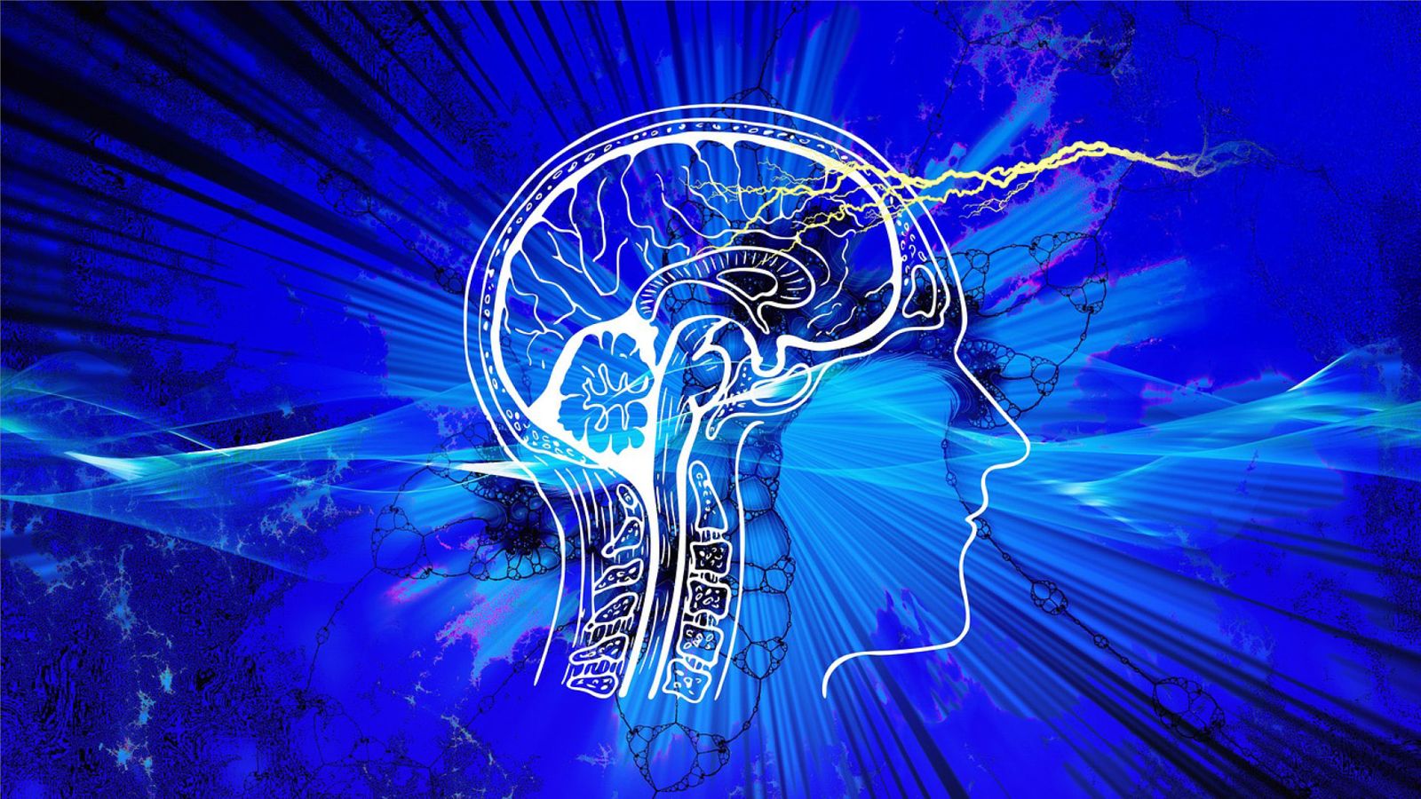 今天啥日|6/8 世界腦瘤日 一起守護腦健康