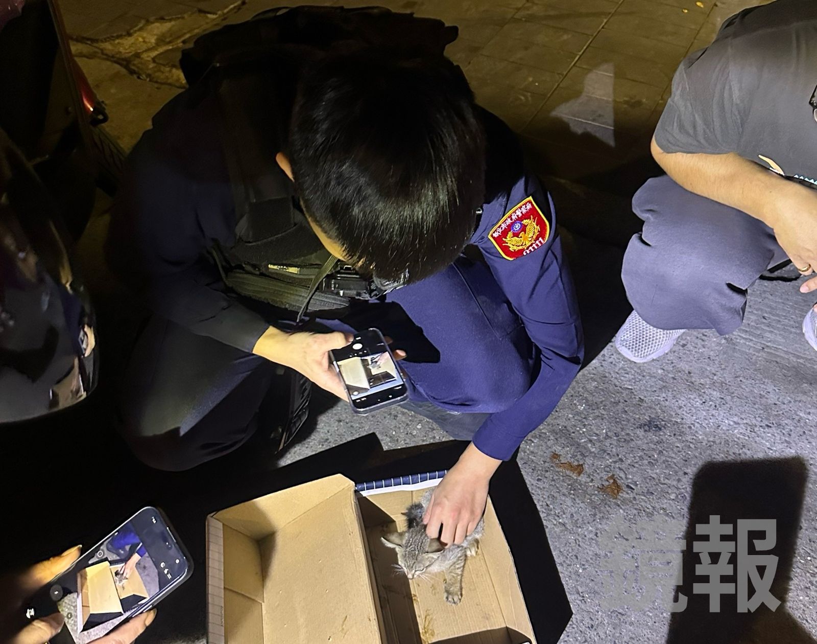 現場民眾拿來紙盒讓小貓安置,有人立即表示願意「收編」。翻攝畫面