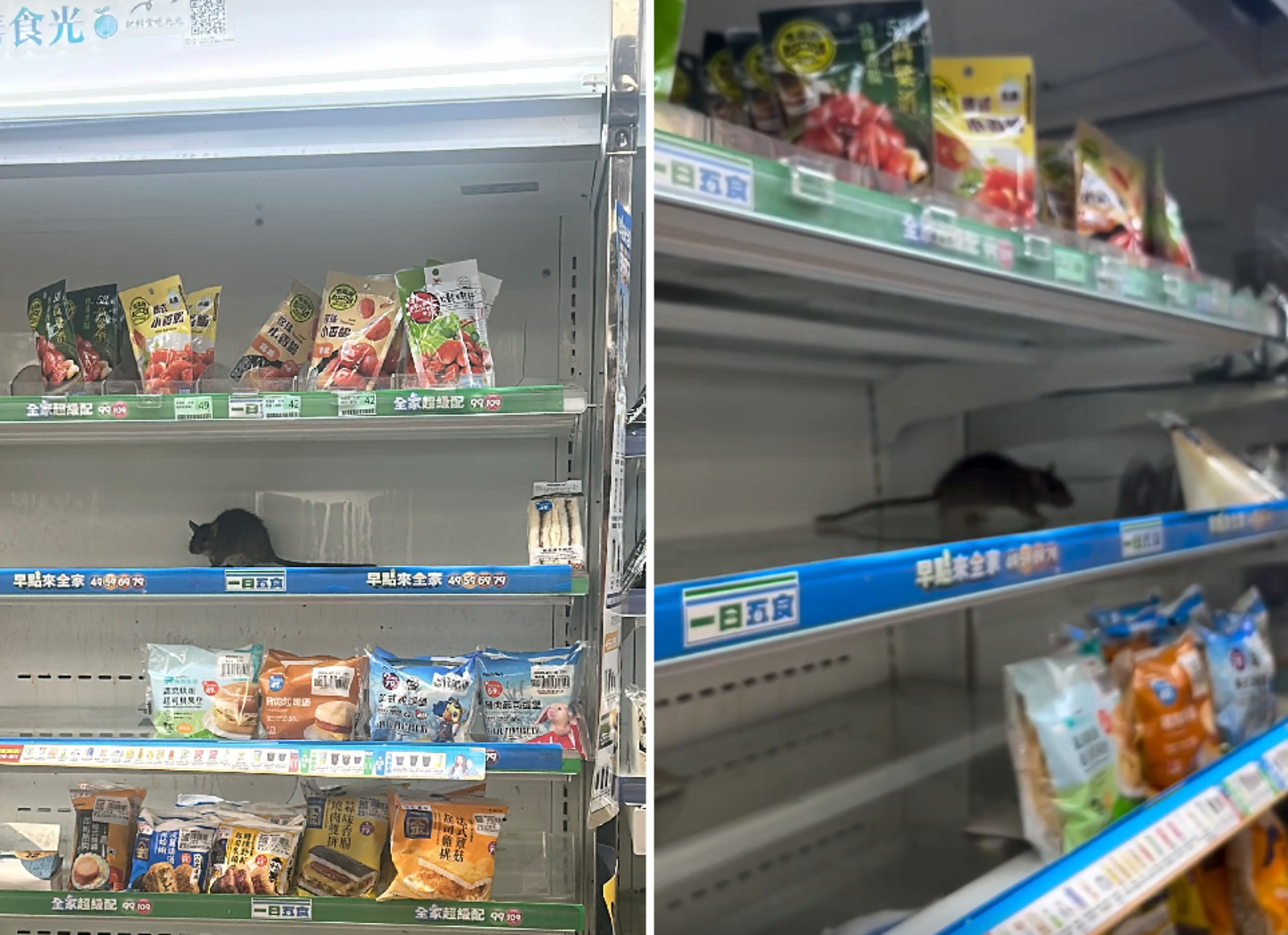 「裡面有癌油,外面有米奇!」驚見巨鼠逛貨架 超商回應「已立即下架報廢」