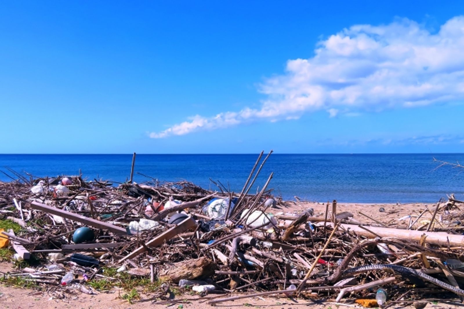 小二女童詩妙諷海洋垃圾!蔡英文拋1句話15萬人點讚