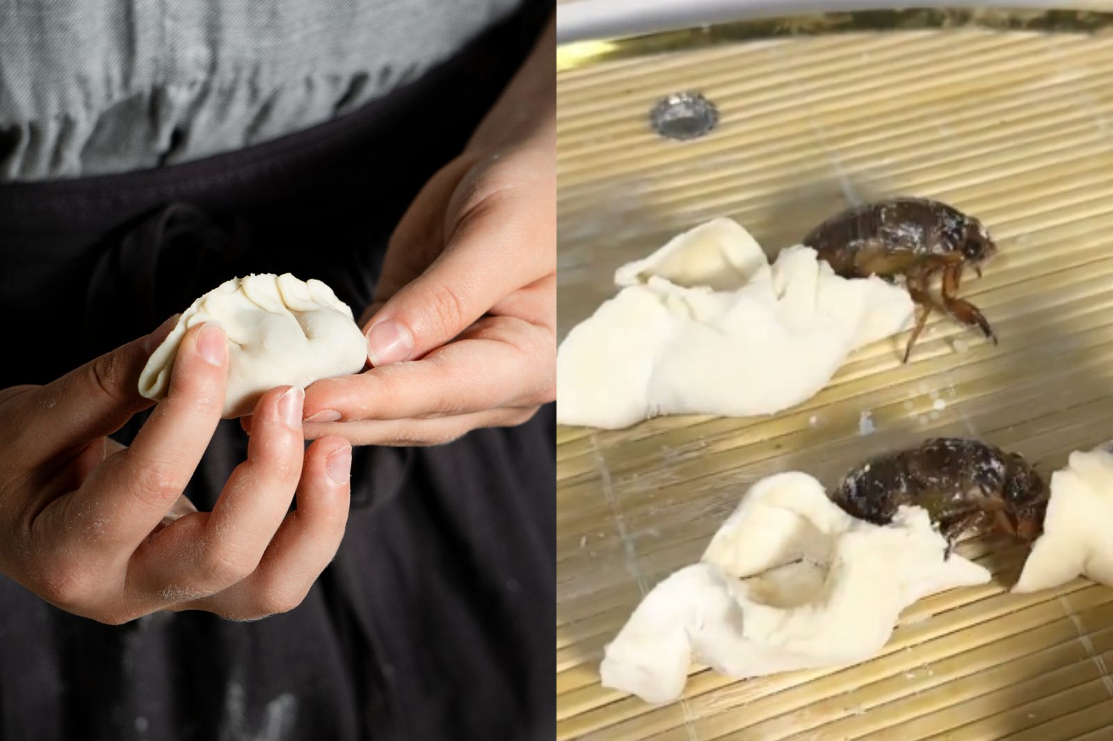 地獄料理?中國網紅拿蟬「包餃子」包一半全跑光...網笑翻:第二次破土