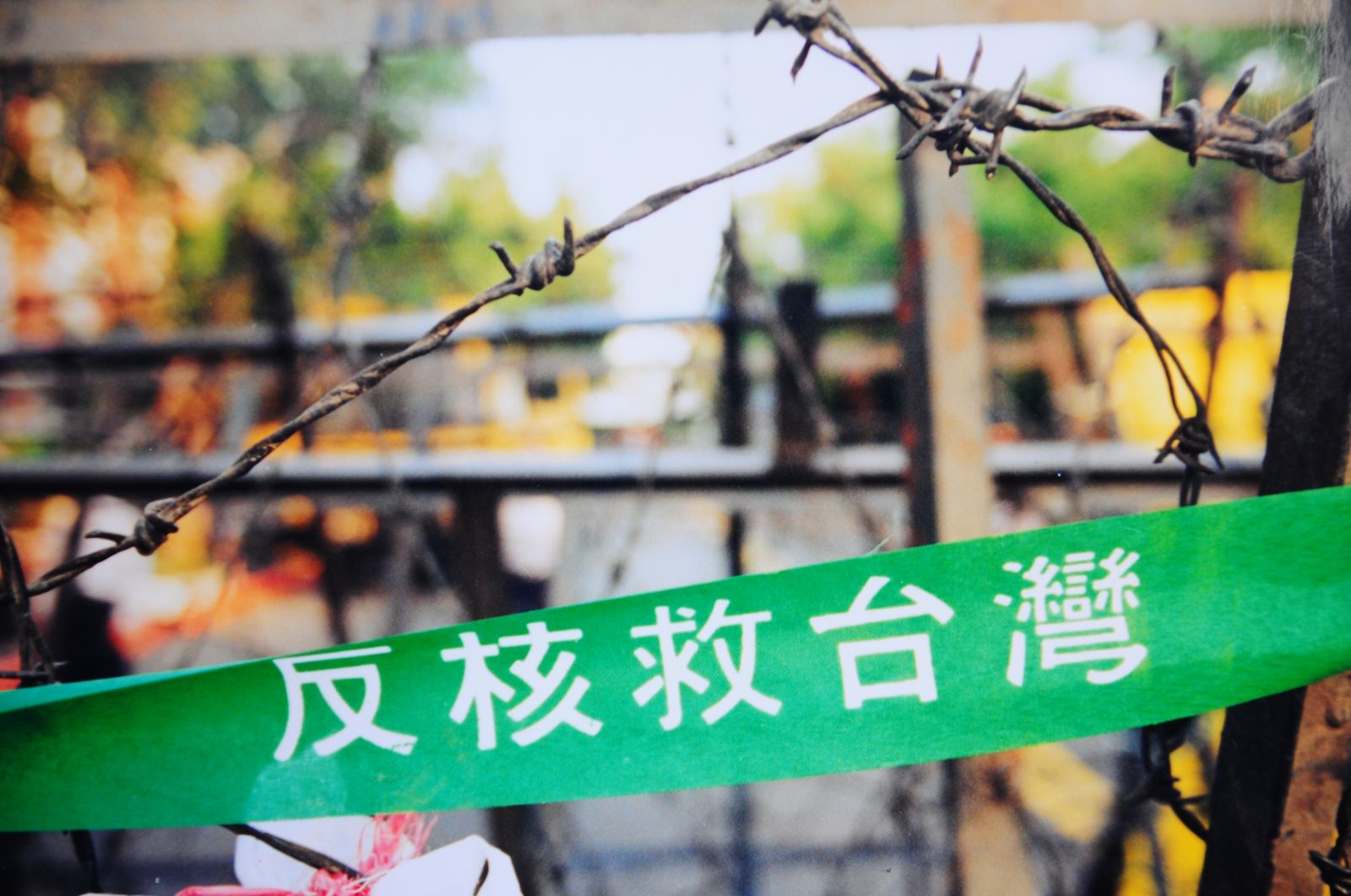 藍綠白都絕對不能丟掉的「全民神主牌」