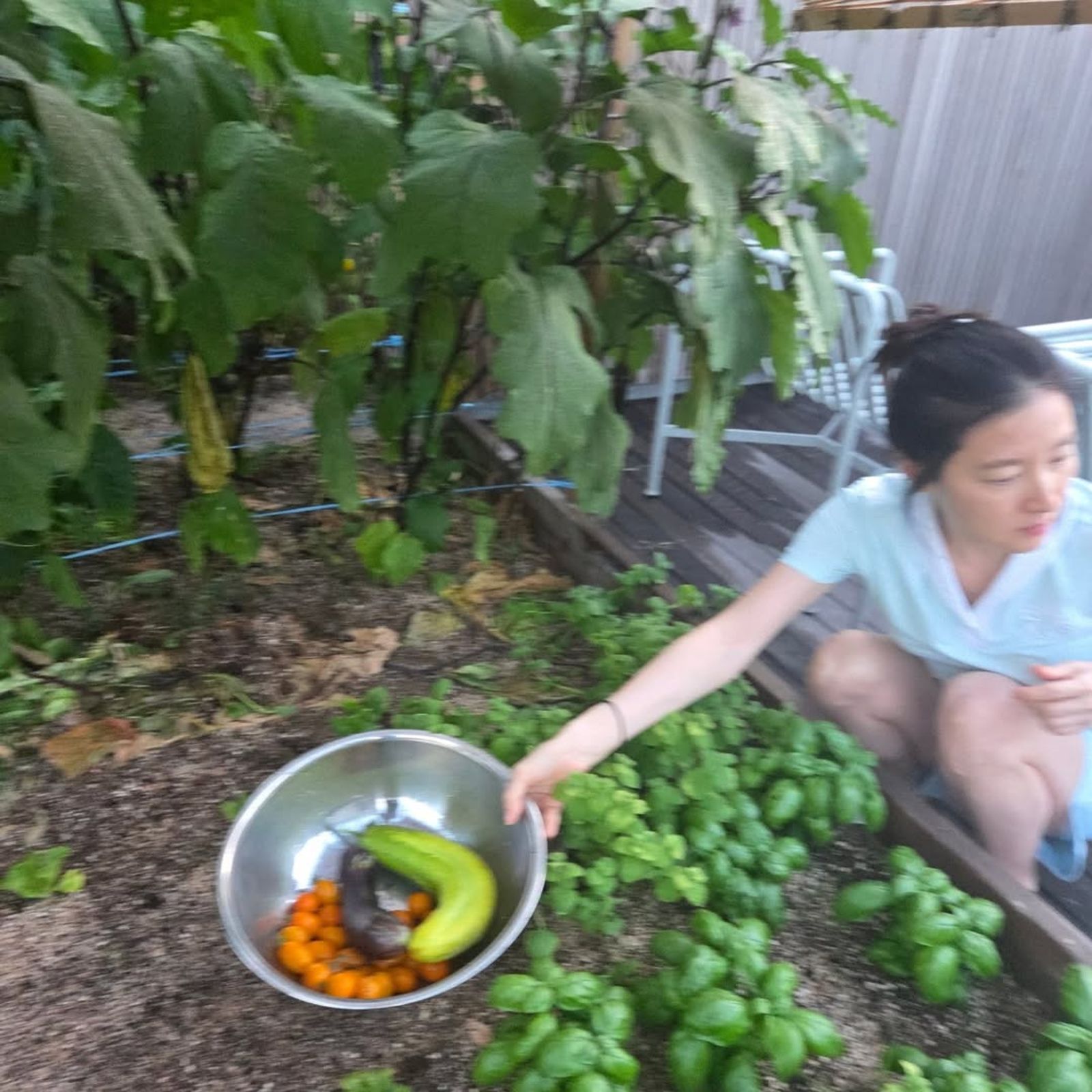 李英愛蹲在菜園中採收，苦惱要煮些什麼。翻攝IG@leeyoungae0824