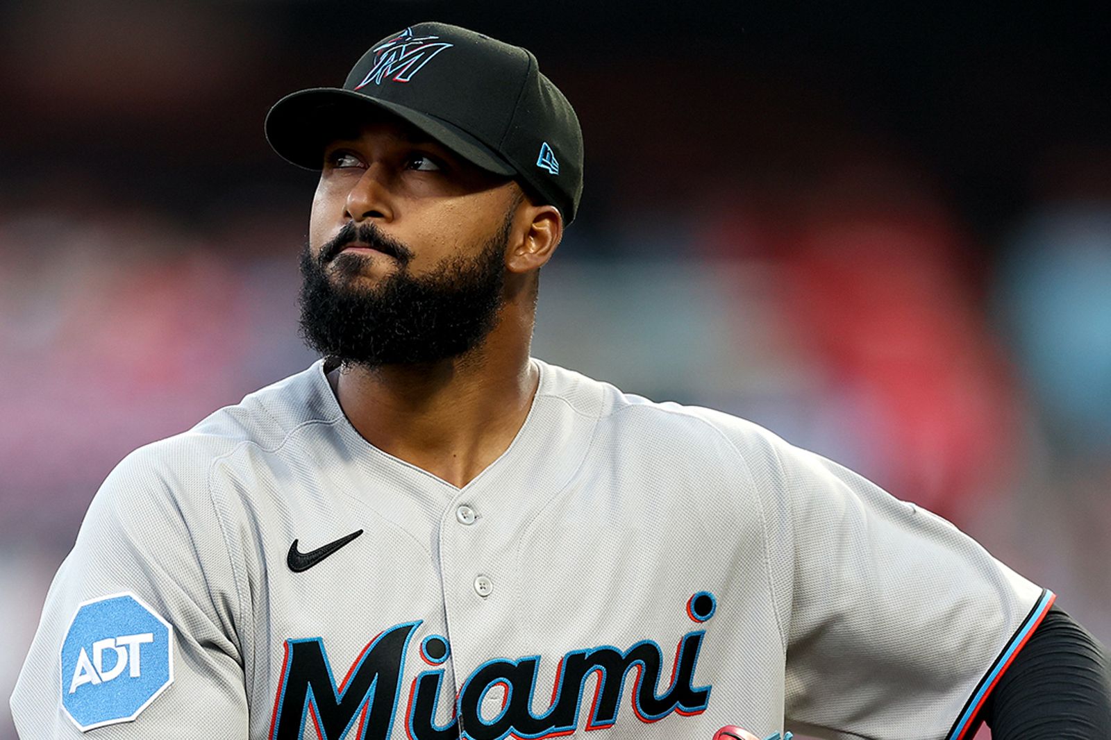 「魚王」參戰WBC！Alcantara傳加入多明尼加　王牌領軍挑戰美國