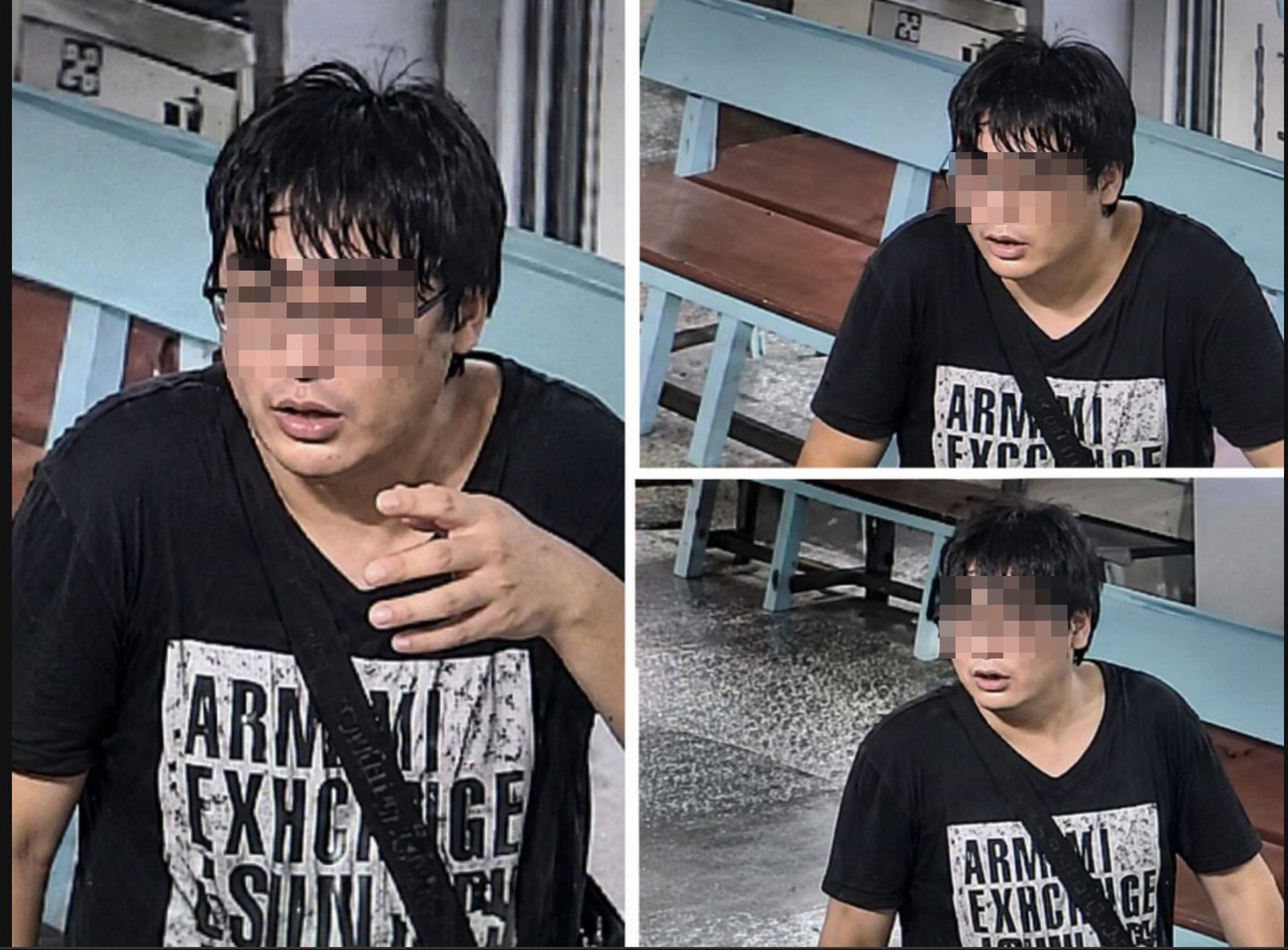 抓到了！持辣椒水噴5貓　猴硐虐貓嫌犯落網辯「心情不好」
