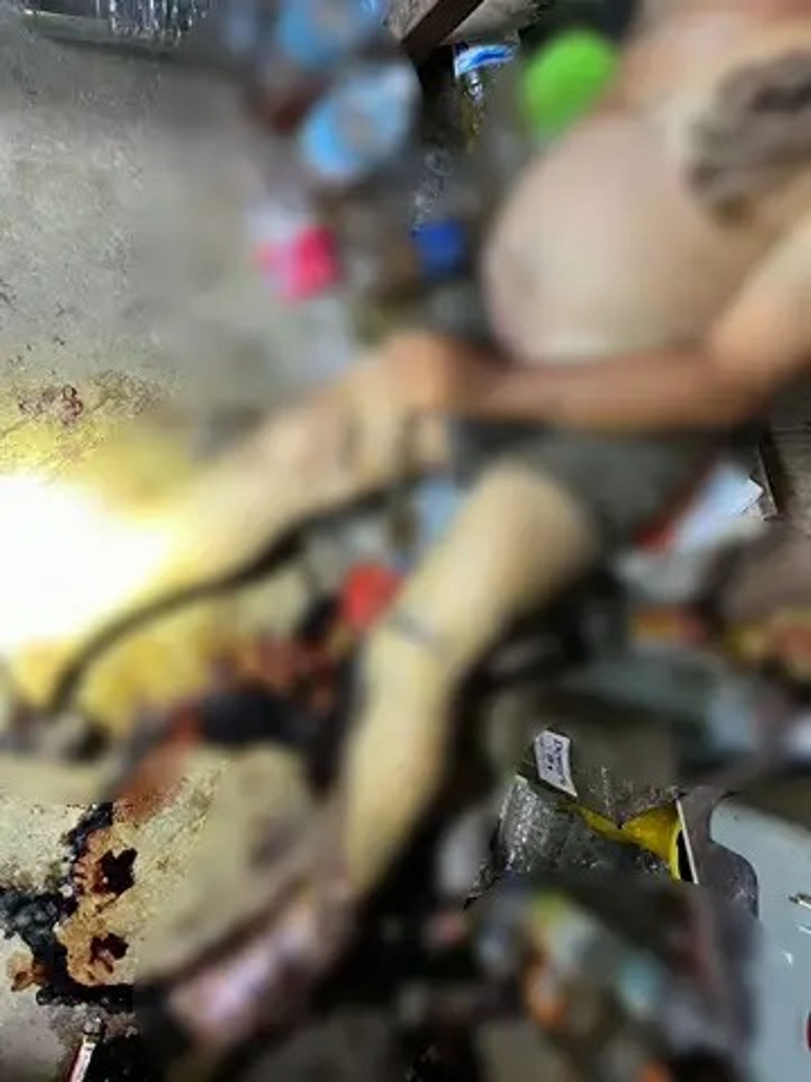 查普亨姆身上有多數遭獼猴狠咬與抓傷的痕跡,最終因失血過多身亡。圖/hotnewstimeonline.com