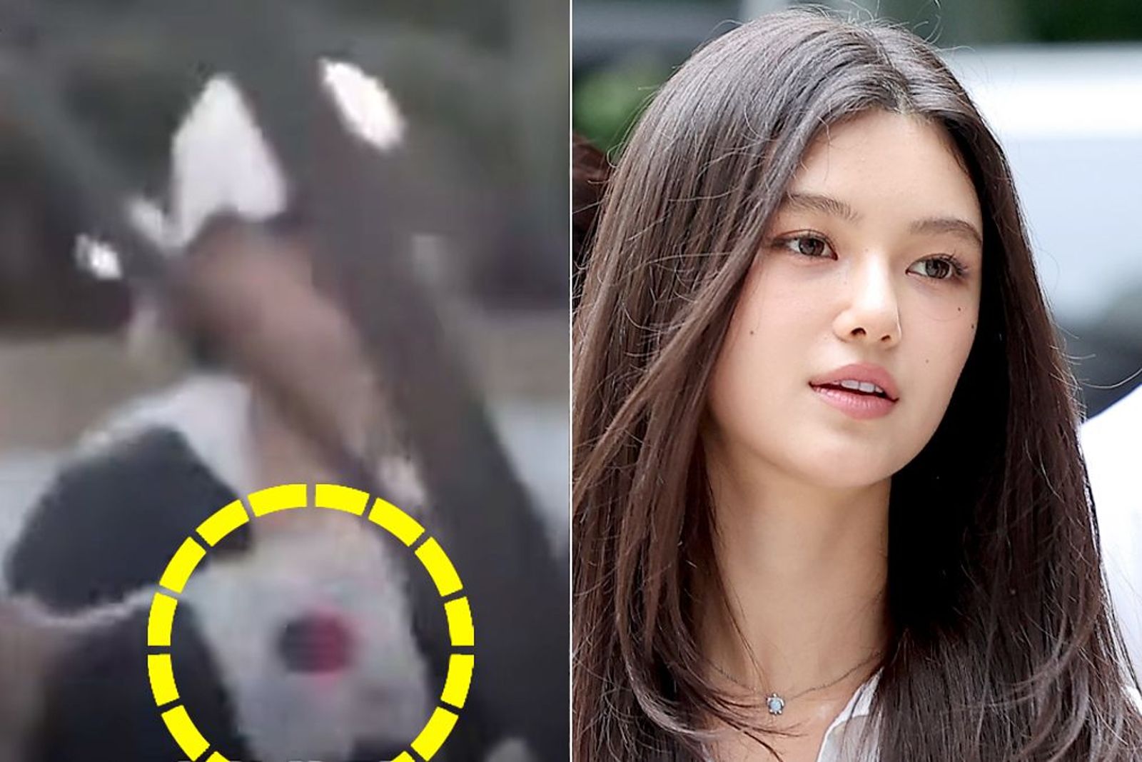 網友發現Danielle竟在東京拿著太極旗，當天還是韓國三一節。翻攝NAVER