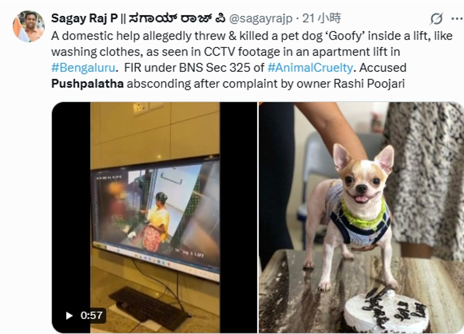 狗保母收錢遛狗　竟把小狗活活摔死！飼主看監視器崩潰